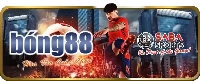 Đặt cược và theo dõi trận đấu